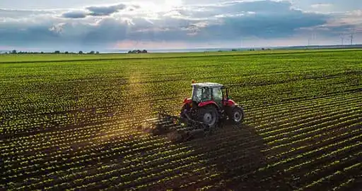 Fincas agrícolas